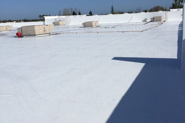 TPO roof membrane installed by Brose Construction.